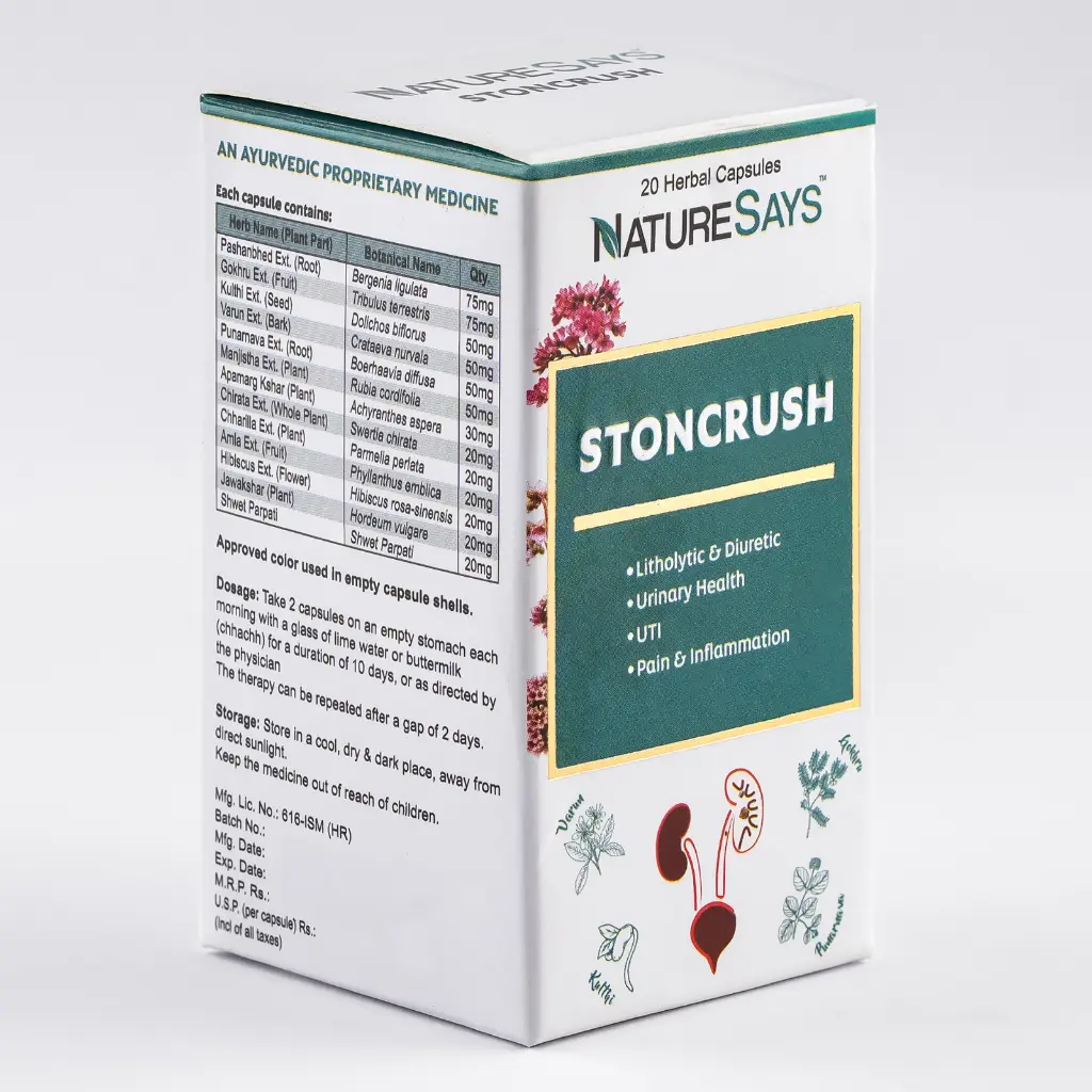 WhatsApp Image 2026-04-20 at 3.48.29 PMfdf.webp